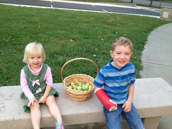 Apple Picking Time!!! Right Across the Street!!!